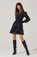 Lucien Collared V-Neck Mini Dress