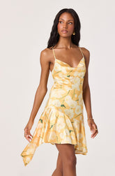 Paloma Cowl Neck Asymmetric Mini Dress