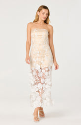 Tanisha Embroidered Floral Strapless Maxi Dress