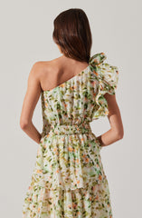 Imelda One Shoulder Floral Maxi Dress