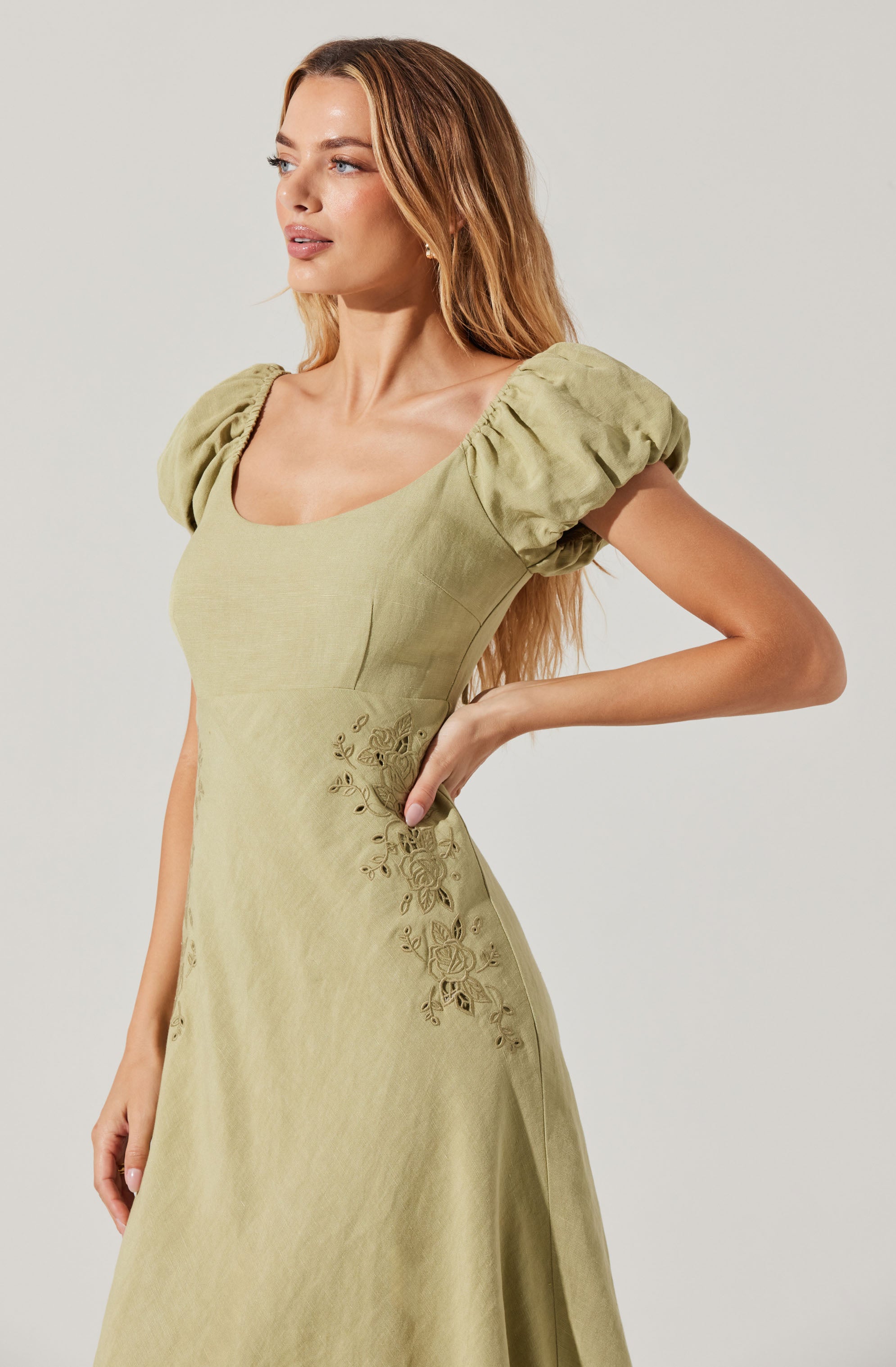 Leocadia Embroidered Puff Sleeve Midi Dress